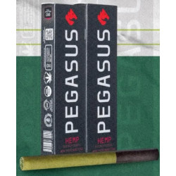 Pegasus